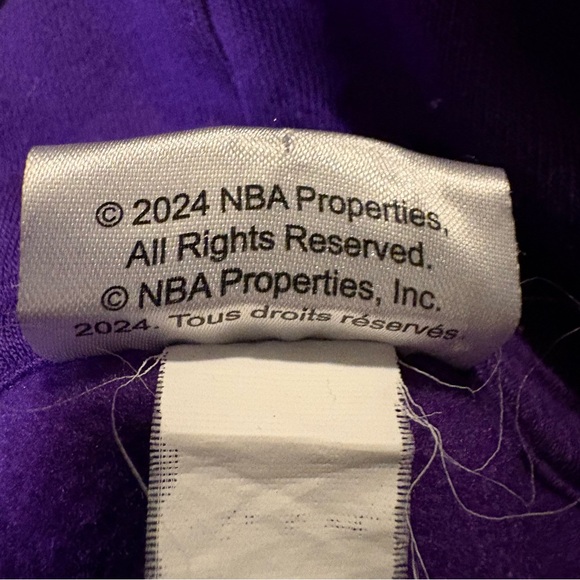 NFL Purple Toronto Raptors Men's Hoodie, Sz S - Picture 4 of 9